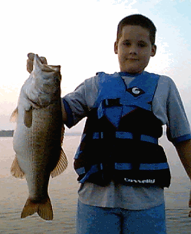 7.0 Pounder