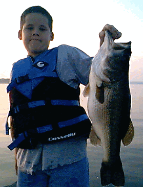 7.6 Pounder