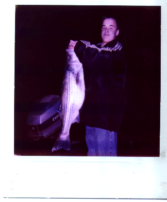 14lb 7oz Monster Striper