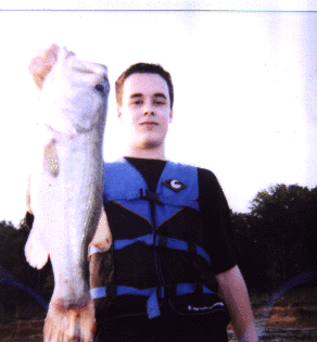 Lake Texoma Bass